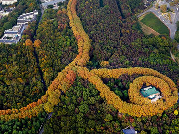 Renforcement d'ancrage: Le palais de Nanjing Meiling
