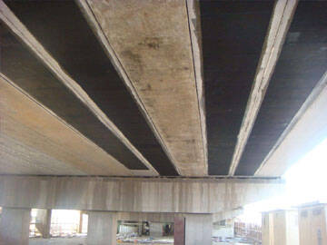 fibre de carbone renforcée