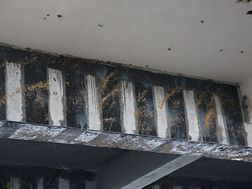 Poutres en béton armé avec fibre de carbone